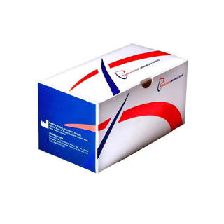 NTpro BNP CLIA KIT  100  TS