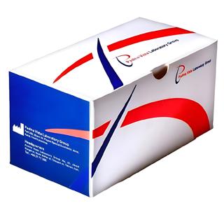 کیت 25-OH Vitamin D CLIA 36Test